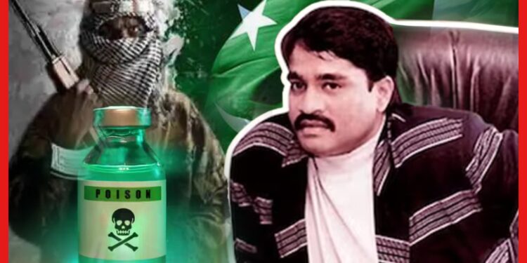 Dawood Ibrahim: দাউদকে নিয়ে পাকিস্তান চরম ফাঁদ পেতেছে! RAW শেখাবে সবক, সত্যিই কি বিষপ্রয়োগ ডনকে ?