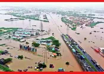 Tamil Nadu flood: বিদায় নিয়েছে ‘মিগজাউম’, দোসর ‘বৃষ্টি’র জেরে বানভাসি তামিলনাড়ু