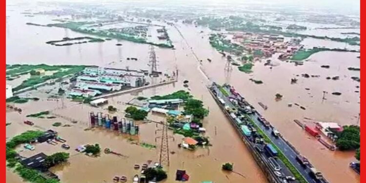 Tamil Nadu flood: বিদায় নিয়েছে ‘মিগজাউম’, দোসর ‘বৃষ্টি’র জেরে বানভাসি তামিলনাড়ু