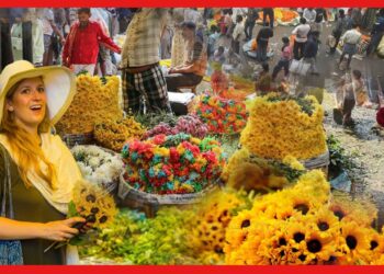Mallikghat Flower Bazar: এশিয়ার সব থেকে বড় ফুলের বাজার, মল্লিক ঘাটের ইতিহাস জানেন ?