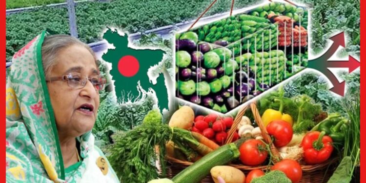 Bangladesh: বাংলাদেশের বুকে সবুজ খাজানা, অদ্ভুত সুন্দর ডিটো নেদারল্যান্ডস ?