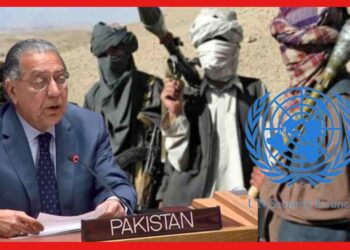 Pakistan India UNSC TTP Attack: টিটিপির ধারে বিপর্যস্ত পাকিস্তান, দায় চাপাচ্ছে ভারতের উপর! নালিশ জাতিসংঘে