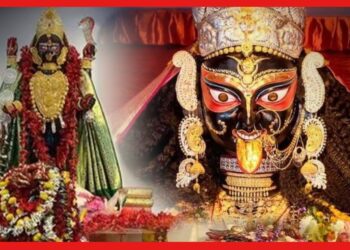 Boro Maa Naihati: নৈহাটির বড়মার পুজোর শাড়ি, ফল কোথায় যায় ? জমানো শাড়ি, ফল দিয়ে কী হয় জানেন?