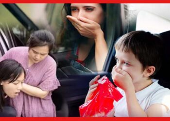 Travel Sickness: ট্রাভেল করলেই বমি হয়? সমস্যা দূর করার উপায় জানুন