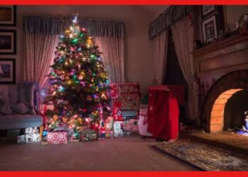 Christmas Day: বড়দিনে দূর হবে বাস্তুদোষ! কীভাবে সাজাবেন ক্রিসমাস ট্রি? নজর রাখুন এই কোনে