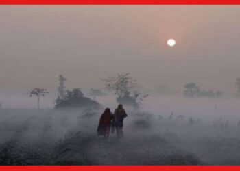 Weather Update Today: উধাও শীত! বড়দিনের সকালে ঘন কুয়াশার চাদরে মুড়ল রাজ্য