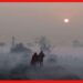 Weather Update Today: উধাও শীত! বড়দিনের সকালে ঘন কুয়াশার চাদরে মুড়ল রাজ্য