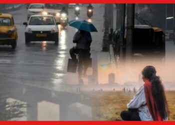 Weather Update: ৪৮ এ শীতের ব্যাপক মুড সুইং, শিল পড়বে বড়দিনে ?