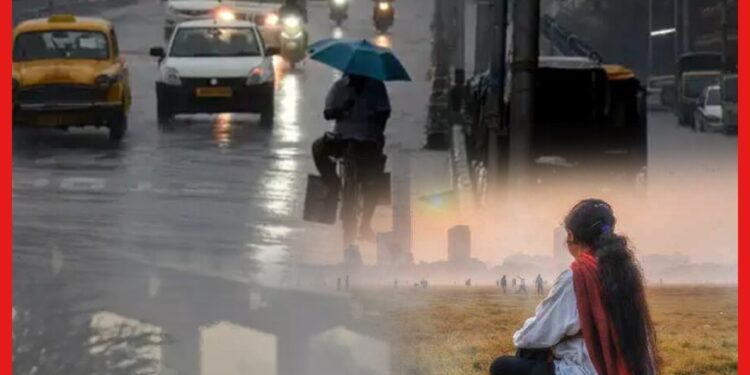 Weather Update: ৪৮ এ শীতের ব্যাপক মুড সুইং, শিল পড়বে বড়দিনে ?