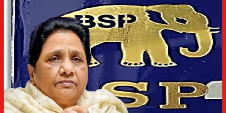 BSP: চার রাজ্যে বড় ধাক্কা খেল বিএসপি, ভাইপোকে ময়দানে নামতে গিয়েই কি হোঁচট খেল মায়াবতী ?