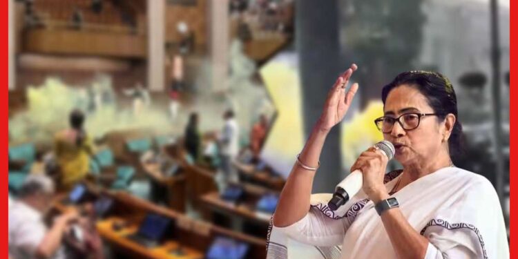 Mamata Banerjee  : সংসদ হামলার ঘটনায় এবার মুখ খুললেন মমতা, কী প্রতিক্রিয়া দিলেন রাজ্যের মুখ্যমন্ত্রী ?