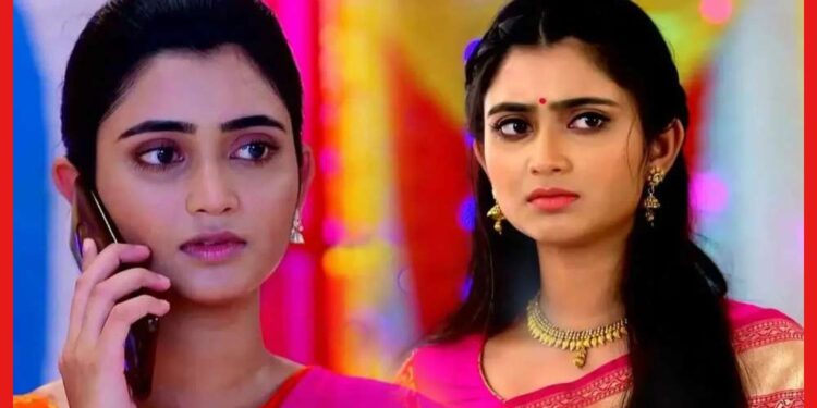 TRP Ratings: ফের শীর্ষ স্থান দখল করল ধারাবাহিক ‘জগদ্ধাত্রী’! টিআরপির তালিকায় সেরা দশে কারা?