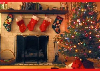 Christmas Day 2023: কম খরচে বড়দিন হবে আরো স্পেশাল, বাড়ি করবে ঝলমল! রইল দুর্দান্ত টিপস