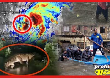 Cyclone Michaung: ঘূর্ণিঝড়ে ভাসছে চেন্নাই, রাস্তায় ঘুরছে কুমির! বাংলায় আবহাওয়ার অশনি সংকেত ?