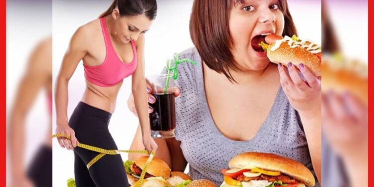 Weight Gain Tips: একটু মোটা হতে চাইছেন? খাদ্যতালিকা বানান এভাবে, সাথে এই কাজ গুলি করুণ
