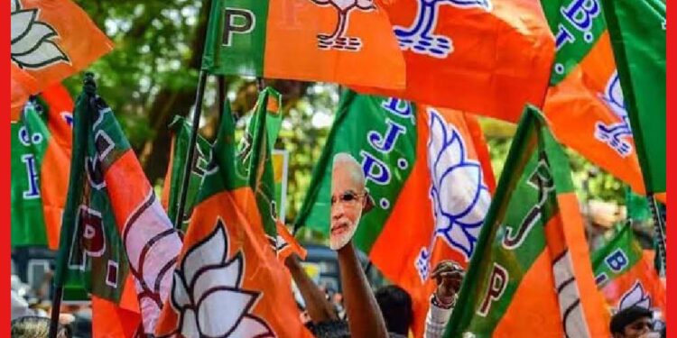 Bjp: লোকসভায় বাংলায় বিজেপির লক্ষ্য ৩৫? ‘টার্গেট’ পূরণ করা নিয়েই সংশয়ে গেরুয়া শিবির!