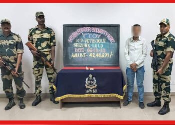 Gold Smuggling: মলদ্বারে সোনার তাল, পাচারের আগেই বানচাল ছক! অভিনব কায়দা বিএসএফের