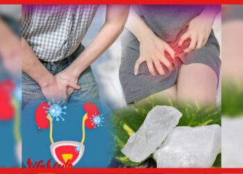 Alum Health Benefits: একাধিক রোগ থেকে দূরে রাখে ফিটকিরি, জানেন সঠিক ব্যবহার?