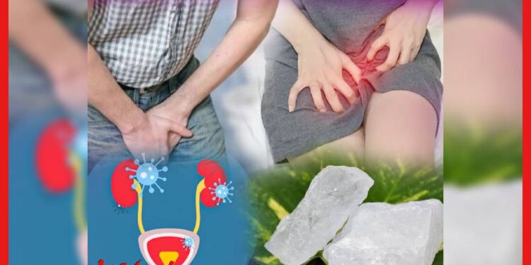 Alum Health Benefits: একাধিক রোগ থেকে দূরে রাখে ফিটকিরি, জানেন সঠিক ব্যবহার?