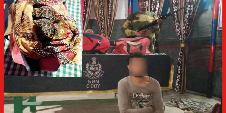 Star Tortoise Smuggling: বাংলাদেশে পাচার হয়ে যাচ্ছিল ভারতের অমূল্য প্রাণী! হাতেনাতে ধরল বিএসএফ