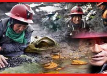 La Rinconada: মাটি খুঁড়েই পায় রসদ, বেঁচে থাকে সোনা খেয়ে! এই শহরের লাইফস্টাইলেই রহস্য