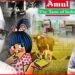Amul Milk: আমুল বাটার কীভাবে তৈরি হল জানেন? কৃষকদের কথা ভেবেই ঘটেছিল বিপ্লব!