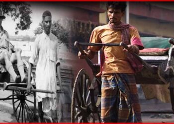 Pulled Rickshaw in Kolkata: কলকাতার হাতে টানা রিক্সাগুলোর এ কি অবস্থা? শেষ হয়ে গেল! 