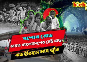 Jessore Road History: একটা রাস্তা আগলে রেখেছে ভারত-বাংলাদেশকে, বাঙালির যন্ত্রণার সাক্ষী
