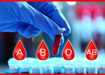 Blood Group Disease: কোন ব্লাড গ্রুপে কোন রোগ হতে পারে? কাদের ক্যান্সারের ঝুঁকি বেশি?