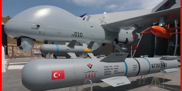 Turkish Drone: বিশ্বের কোন দেশের কাছে আছে সবচেয়ে শক্তিশালী ড্রোনগুলো? সবাই চুপ