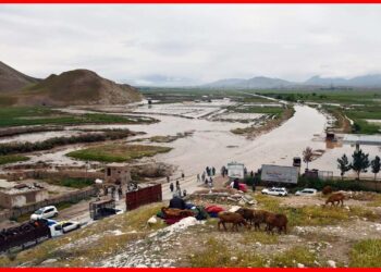 Afghanistan flash floods: মরু দেশ আফগানিস্তান বৃষ্টি হরপা বান, ভেসে যাচ্ছে সব
