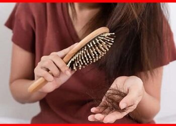 Hair Fall: গরমে মাথায় ঘাম বসে খুব চুল উঠছে ? এই ছোট্ট উপায়ে লুকিয়ে আছে মুশকিল আসান