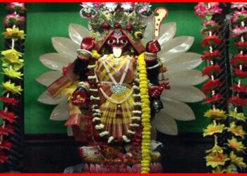Mandir: মায়ের একটি স্বপ্নাদিষ্ট ওষুধেই সেরে যাচ্ছে রোগ! রোজই ভিড় জমছে মন্দিরে