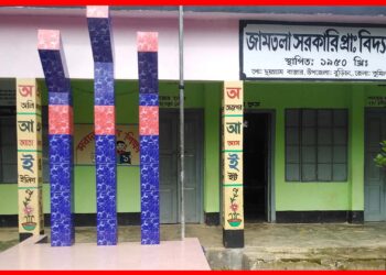 Bangladesh: বাংলাদেশের সবচেয়ে সবুজ গ্রাম জামতলা, শান্তির ঠিকানা