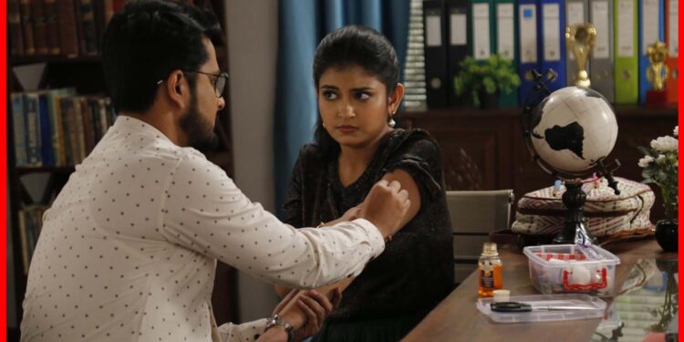 Bengali serial: স্রোতের প্রেমে হাবুডুবু খাবে সার্থক? মিঠিঝোরায় টানটান উত্তেজনা