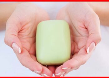 Bar Soap: একটাই সাবান বাড়ির সবাই মিলে ব্যবহার করছেন? ডেকে আনছেন ভয়ানক বিপদ