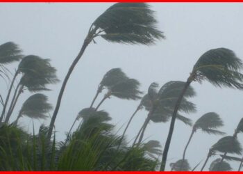 Weather Update Today: মঙ্গলবারও তোলপাড় হতে পারে বাংলা, উত্তাল সমুদ্র!