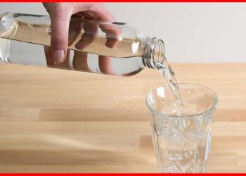 Water Bottles: প্লাস্টিক ছেড়ে কাঁচের বোতলে জল খাচ্ছেন? সাবধান! অচিরেই ডেকে আনছেন বড় বিপদ