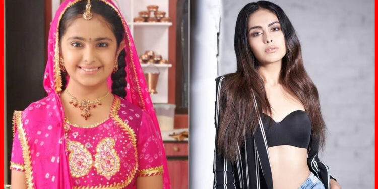 Avika Gor: নিরাপত্তারক্ষীর হাতেই হেনস্থার শিকার অভিকা, মুখ খুললেন বালিকা বধূ