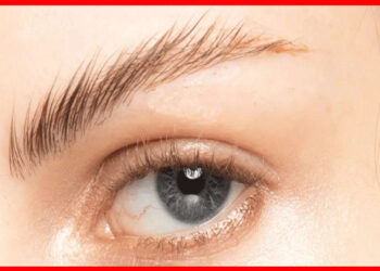 Eyebrow: ভুরু ফাঁকা হয়ে যাচ্ছে ? এই উপায়ে ঘন, কালো করুন
