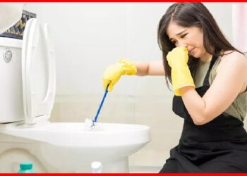 Household Tips: বাথরুমের দুর্গন্ধ তাড়াতে পারছেন না কিছুতেই? এই টোটকায় ফল পান হাতেনাতে