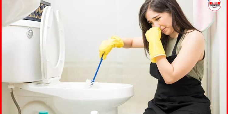 Household Tips: বাথরুমের দুর্গন্ধ তাড়াতে পারছেন না কিছুতেই? এই টোটকায় ফল পান হাতেনাতে