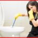 Household Tips: বাথরুমের দুর্গন্ধ তাড়াতে পারছেন না কিছুতেই? এই টোটকায় ফল পান হাতেনাতে