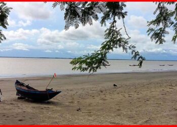 Mousuni Island: কলকাতার কাছেই আছে একটা নির্জন দ্বীপ, অনন্ত জলরাশি আর সবুজে সবুজ, সেরা ডেস্টিনেশন