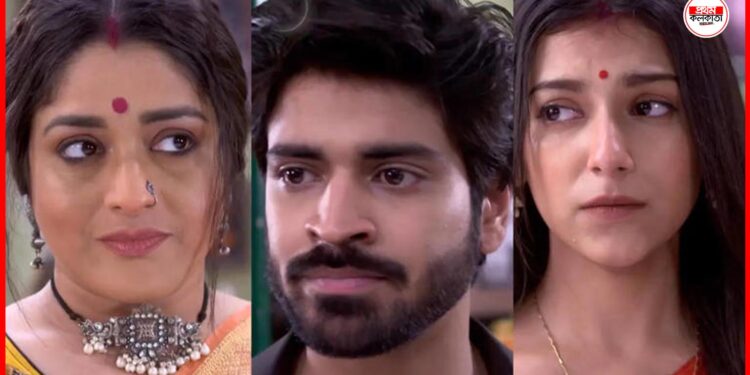 Neem Phooler Madhu Serial: বর্ষার শাশুড়িকে শাস্তি দিল বাবুর মা, নিম ফুলের মধুতে বিয়ের পর্ব! জানুন টিভির আগে