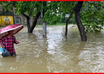 Bangladesh flood: ভাসছে সিলেট সুনামগঞ্জ, বার বার বন্যা কেন ? নদীগুলো ফুঁসছে