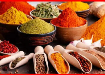 Spices: গোটা না গুঁড়ো রান্নায় কোন মশলা ব্যবহার করবেন? বিশেষজ্ঞরা কি বলছেন দেখুন
