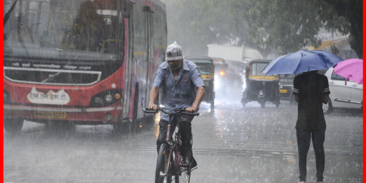 Weather update: মঙ্গল থেকে বৃষ্টি বাড়বে দক্ষিণবঙ্গে, সঙ্গে দমকা ঝোড়ো হাওয়া