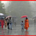 Weather Update: বৃষ্টি কমবে দক্ষিণবঙ্গে, বাড়বে আদ্রতাজনিত অস্বস্তি