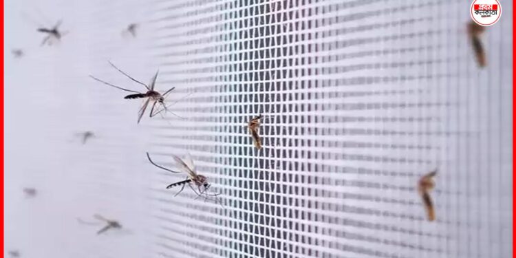 Pest Control Tips: শুরু হয়ে গেছে ঘরে পোকামাকড়ের উপদ্রব ? শুধু কোনায় কোনায় ছড়িয়ে দিন এই স্প্রে